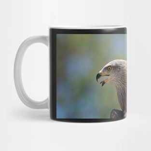 Red Tailed Hawk Mug